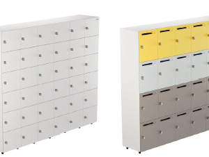 Gain Pro Locker Unit