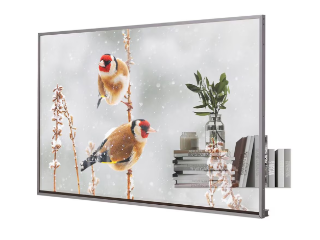 Transparent OLED - Image 2